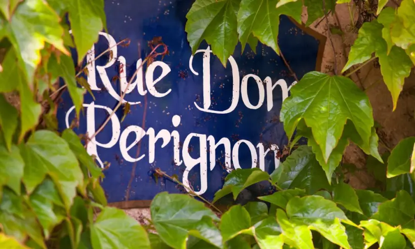 Design ohne Titel (45)