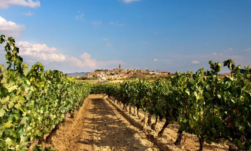 Design ohne Titel (49)